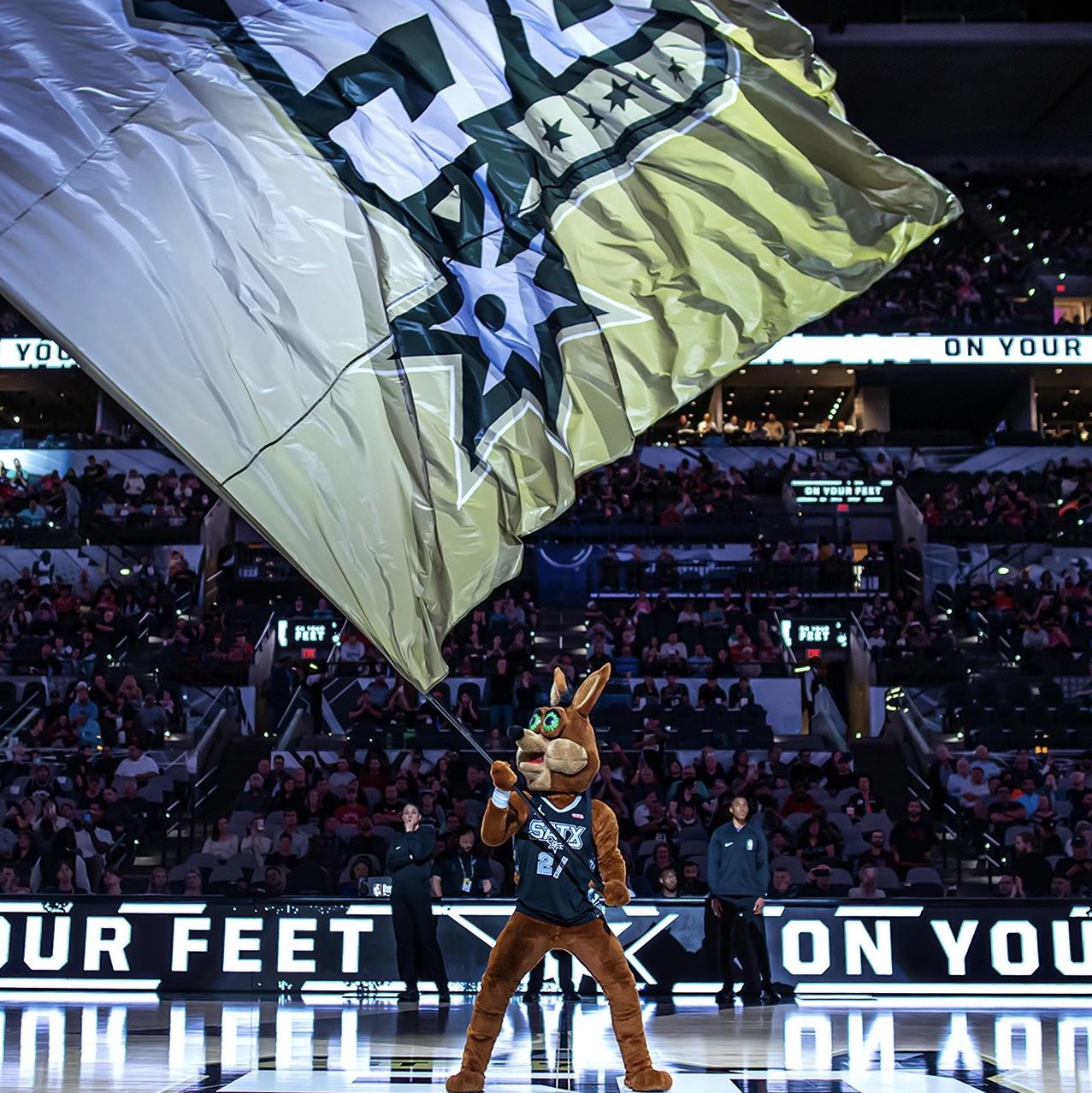 卡塔尔国家 卡塔尔国家